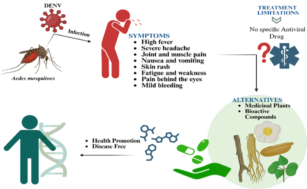 Traditional Knowledge and Molecular Evidence of Medicinal Plants for Multi-Target Dengue Therapy: A Review